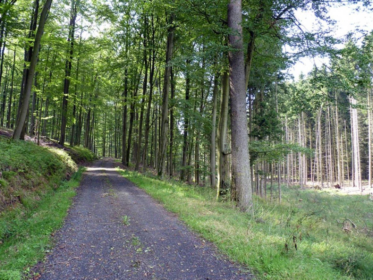 Ferienwohnung Familie Jacobi "Kurfuerst" Naumburg  Exterior foto